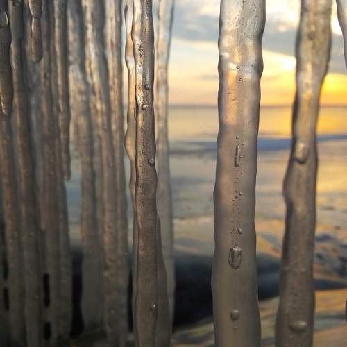Photo #5998517