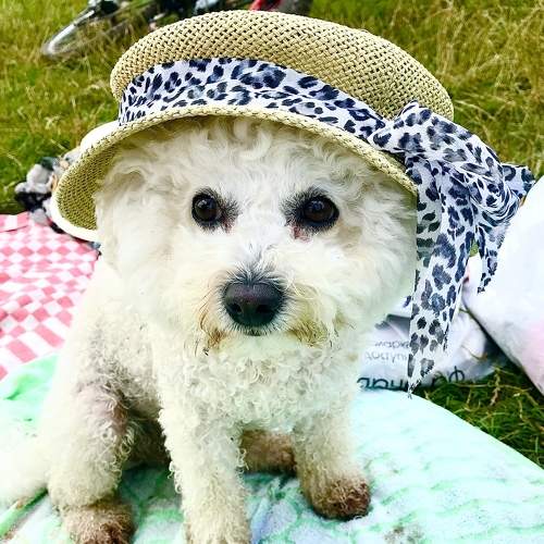 Photo #5998887