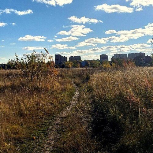 Photo #5999118
