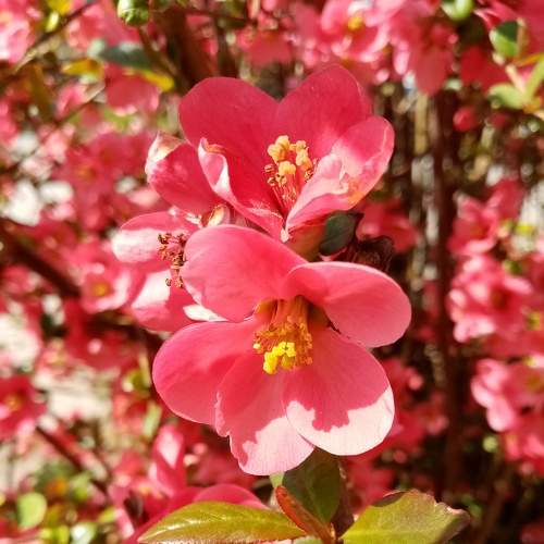 Photo #5999132
