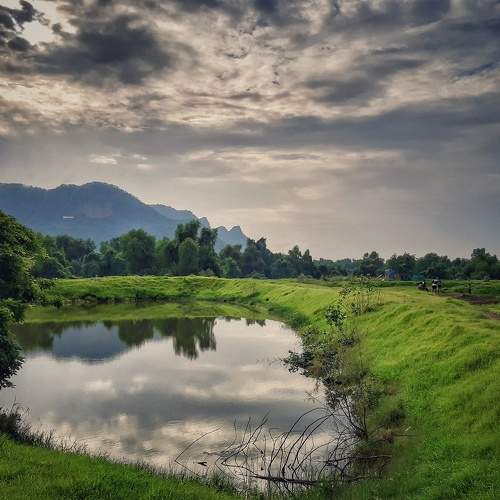Photo #5999298