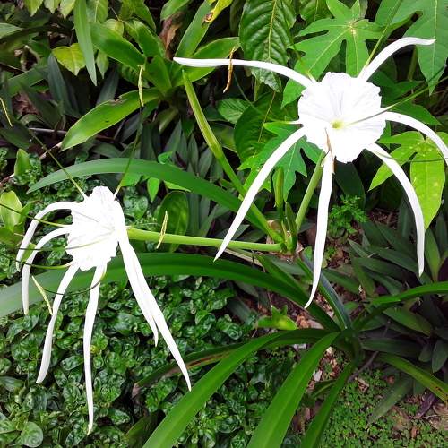 Photo #5999501