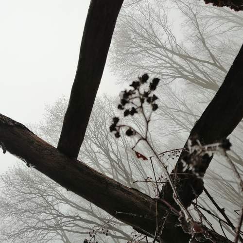 Photo #5999762