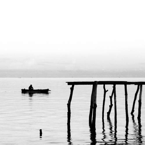 Photo #5999911
