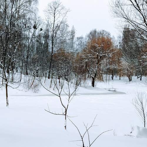 Photo #6000193