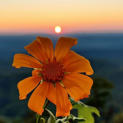 Photo #6000305