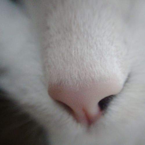 Photo #6000494