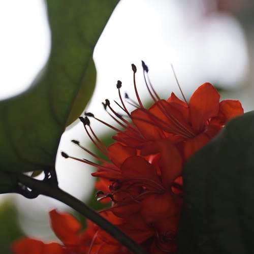 Photo #6000629