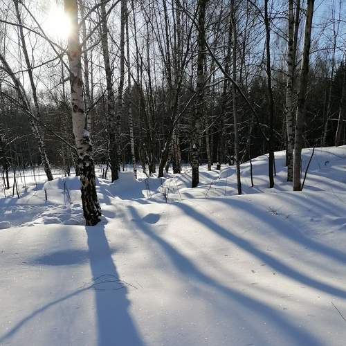 Photo #6000921
