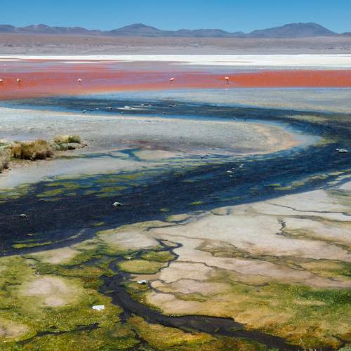 Фотография #6001000