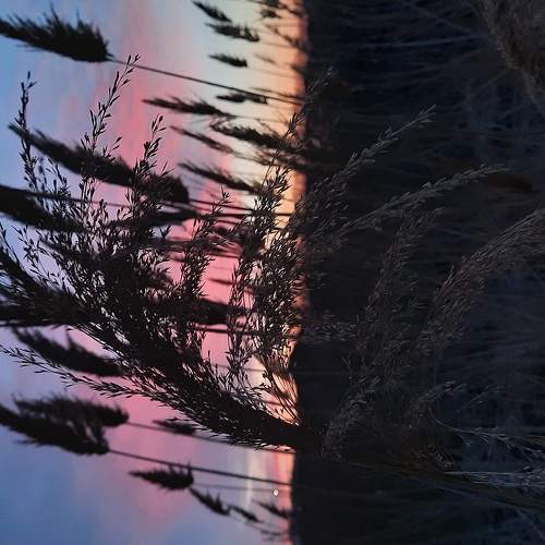 Photo #6001078