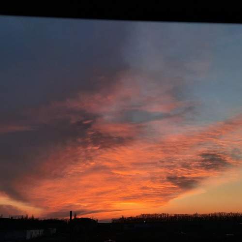Photo #6001079
