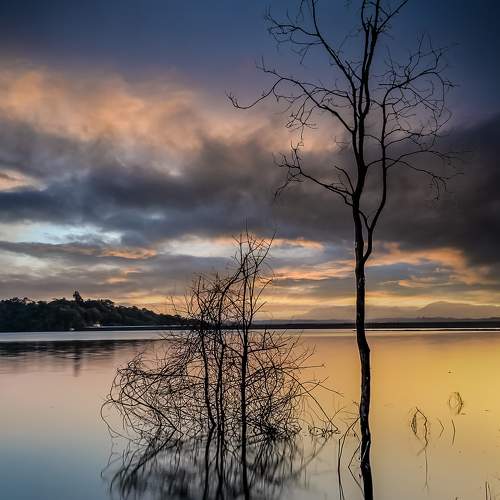 Photo #6001400
