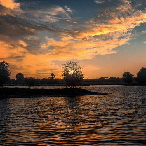 Photo #6001401