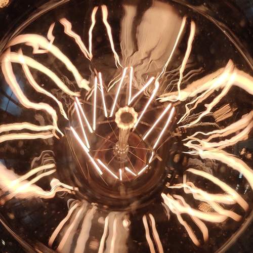 Photo #6001502