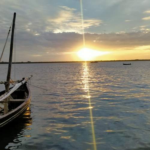 Photo #6001618