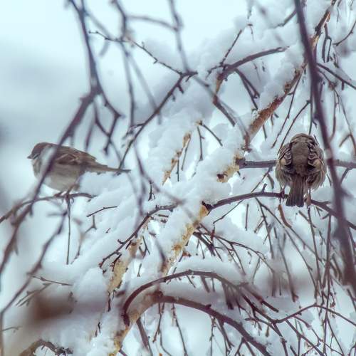 Photo #6001671