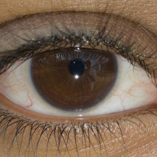 The beauty of eye.