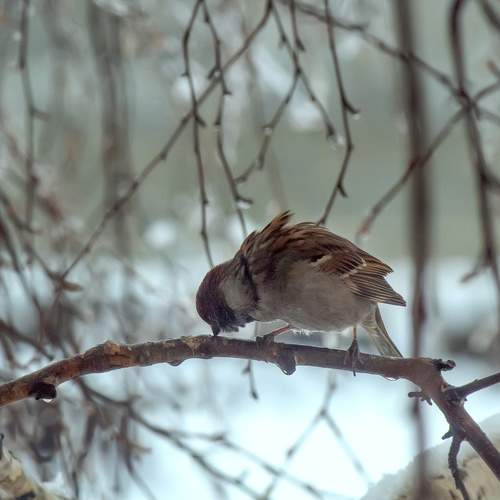 Photo #6001680