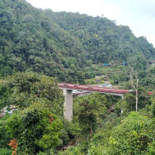 Photo #6001686