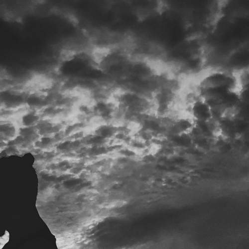 into the dark