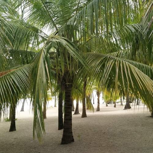 Photo #6001752