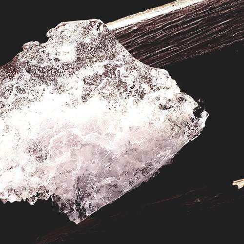 Photo #6001881