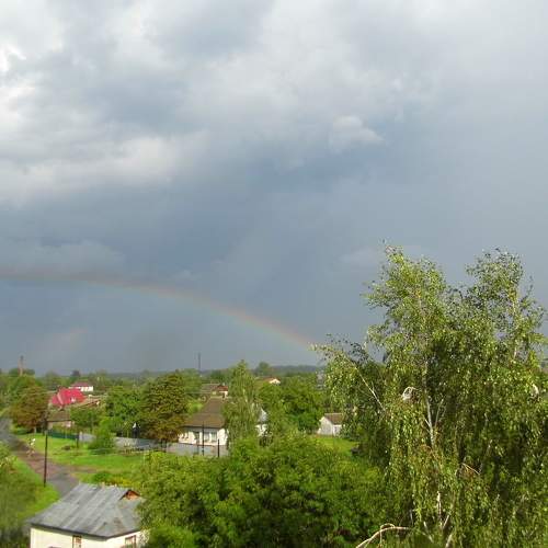 Photo #6002062