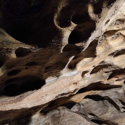 Photo #6002133
