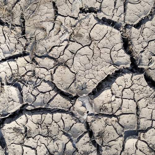 Photo #6002134