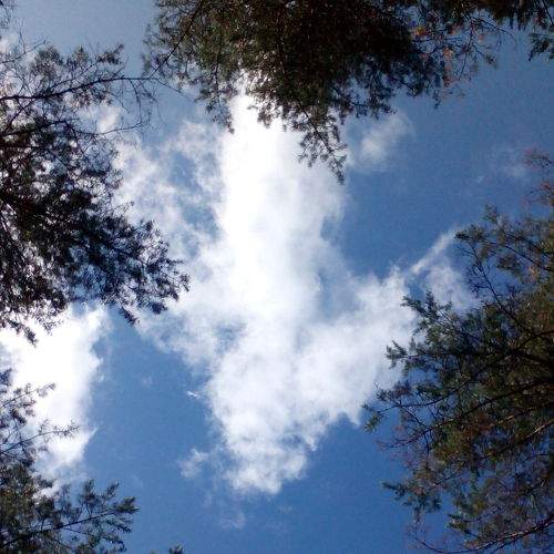 Photo #6002141