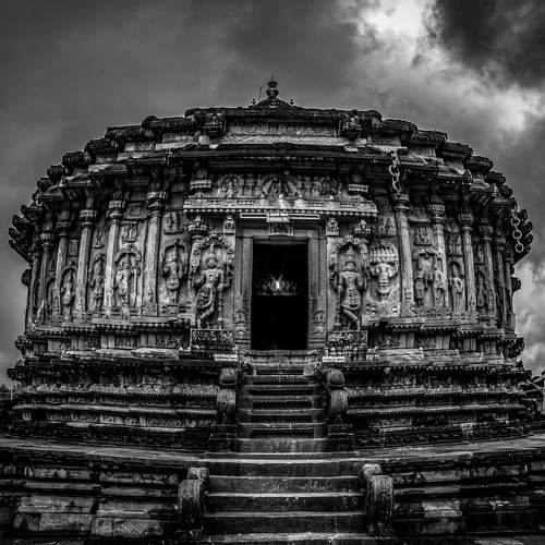 Фотография #6002397