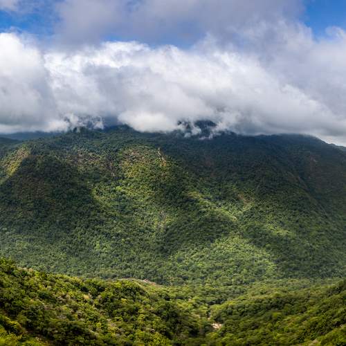 Фотография #6002405