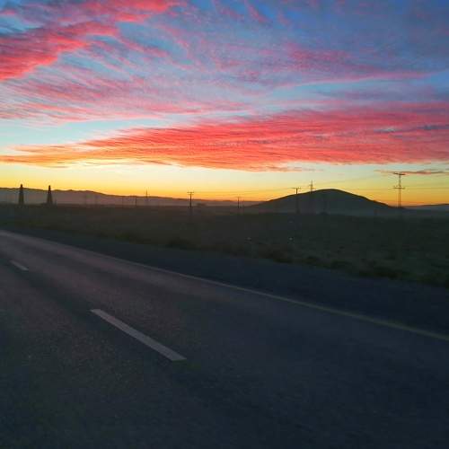 Photo #6003083