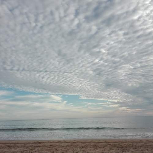 Photo #6003238