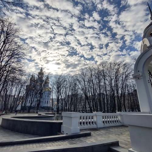 Photo #6003257