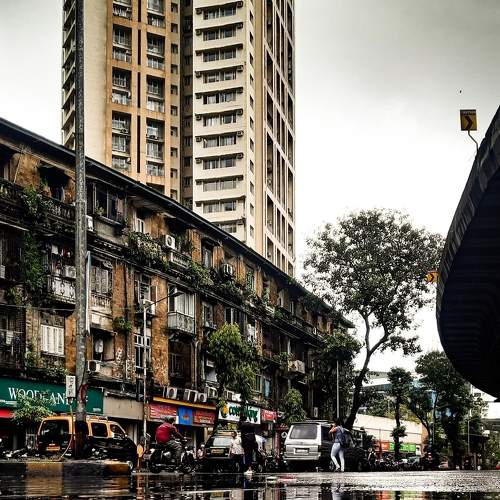Photo #6003290