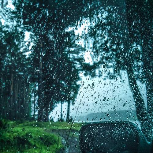 Photo #6003365
