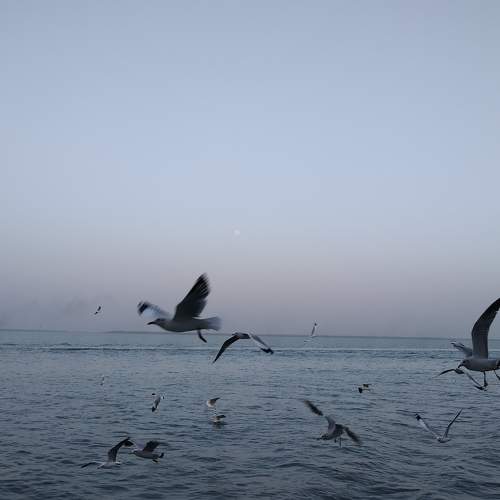 Photo #6003552