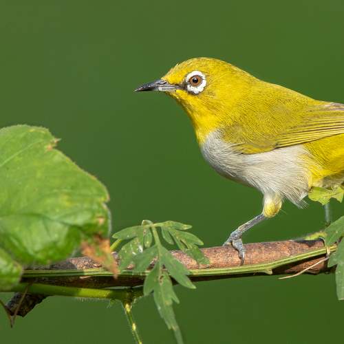 Фотография #6003609