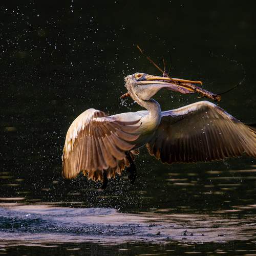 Фотография #6003613