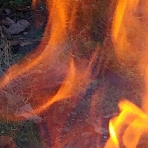 Photo #6003625