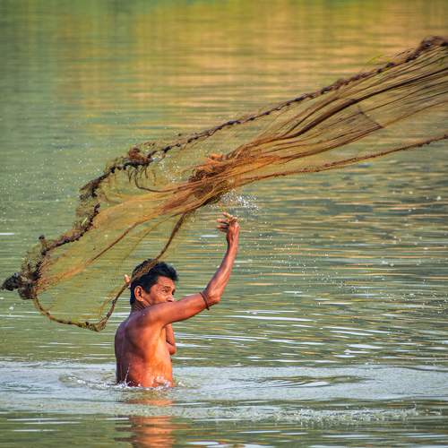 Photo #6003969