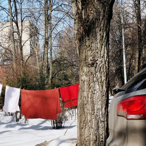 Photo #6004320