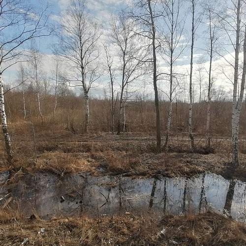 Photo #6004373