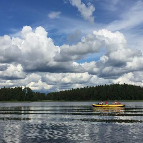 Photo #6004965