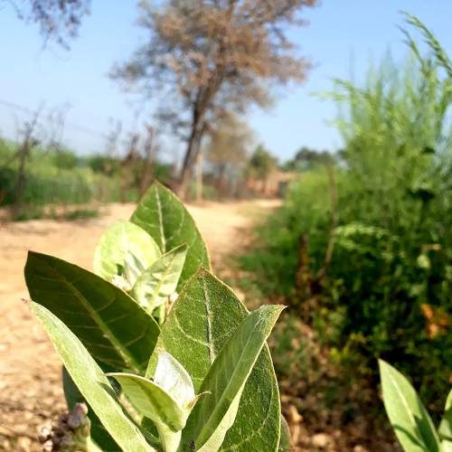 Photo #6005248