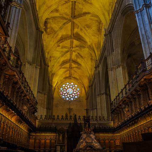 Photo #6005658