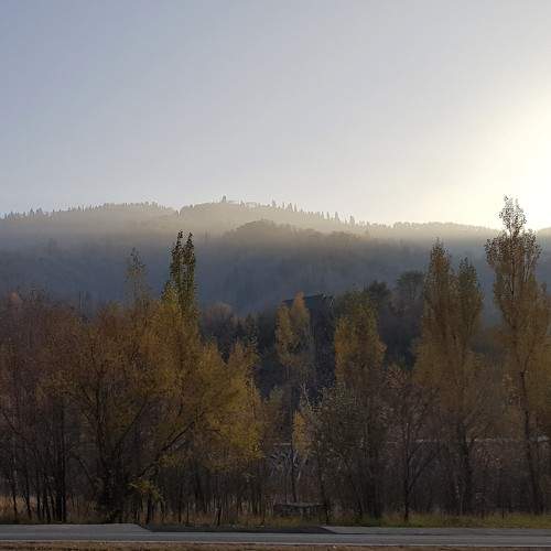 Photo #6005690