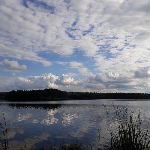 Photo #6005874
